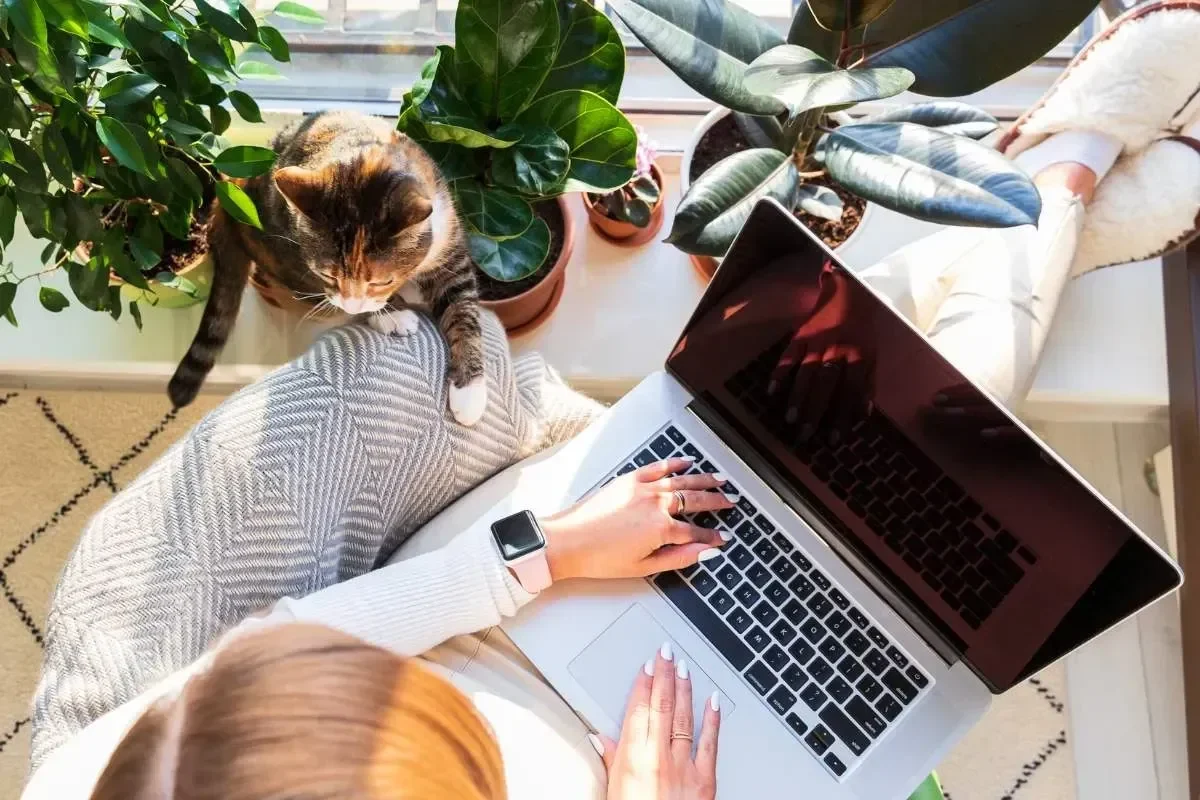 Credit Agricole mon compte 35 : tout savoir